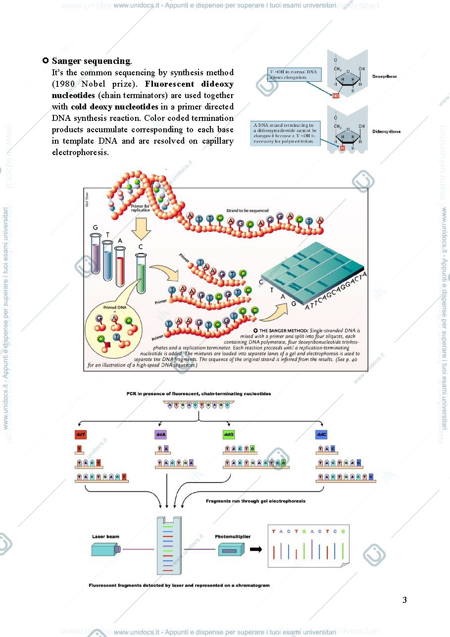 Anteprima pagina 3 — Lezione 7 - clinical virology and antiviral resistance