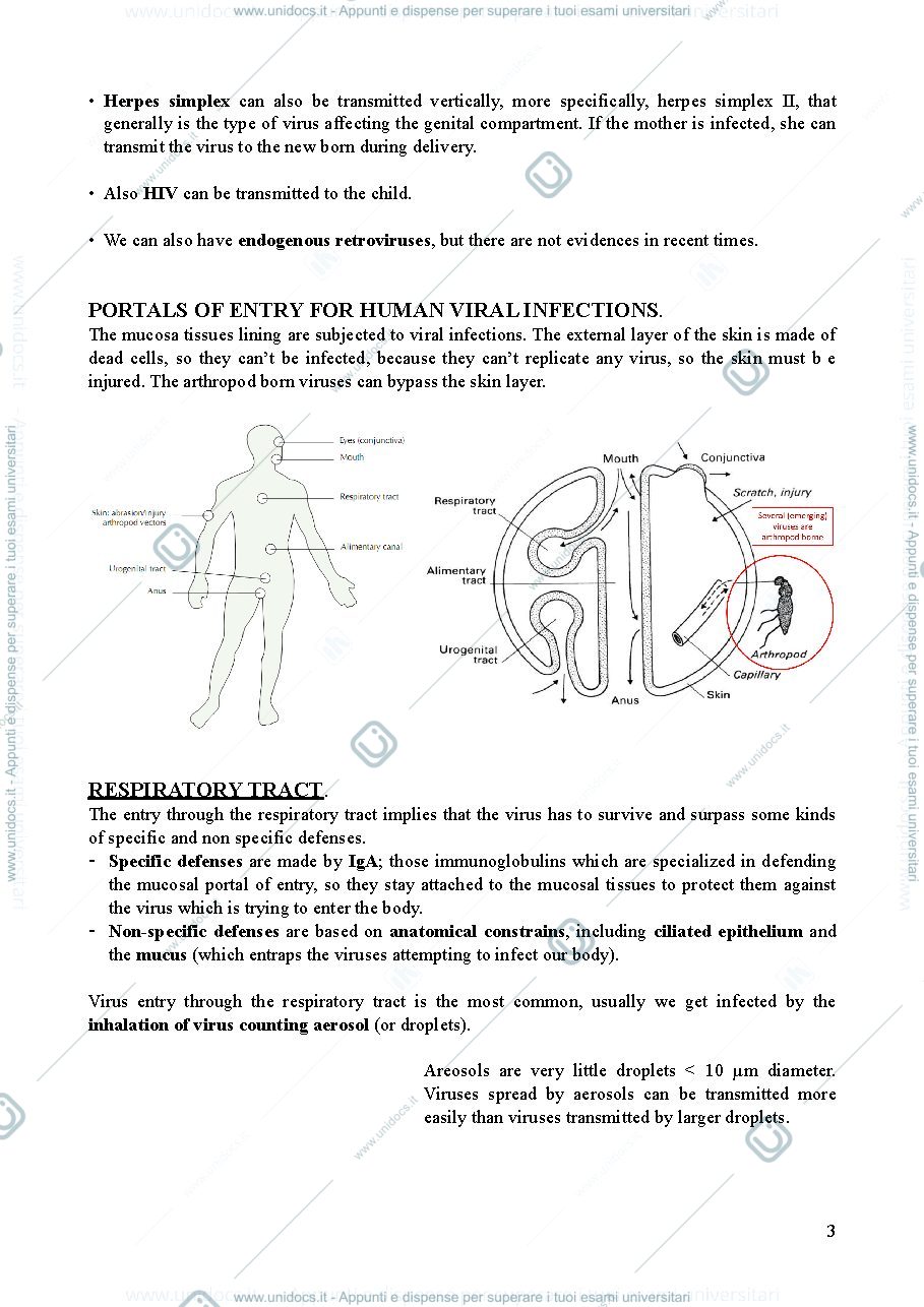 Anteprima pagina 3 — Lezione 3 - clinical virology and antiviral resistance