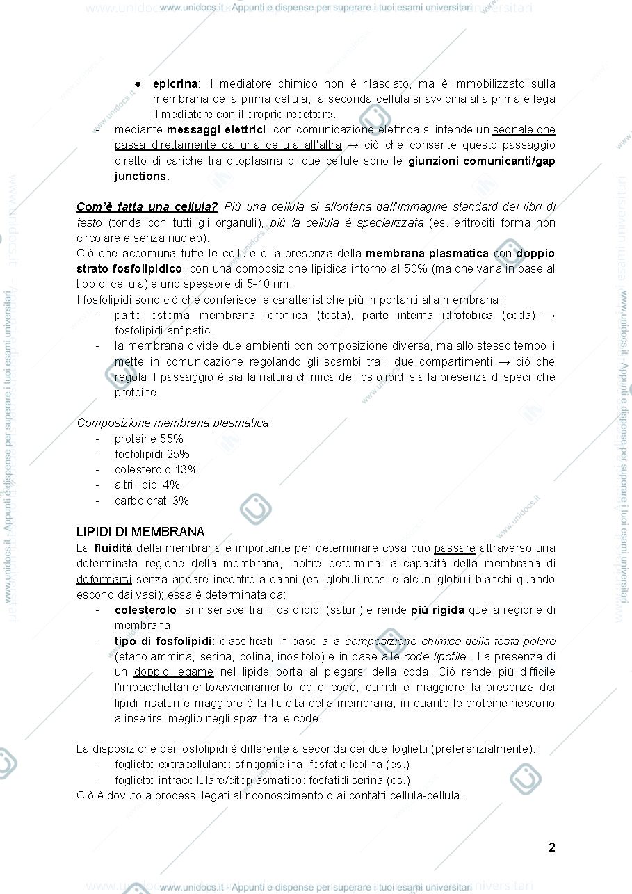 Anteprima pagina 2 — NEUROFISIOLOGIA