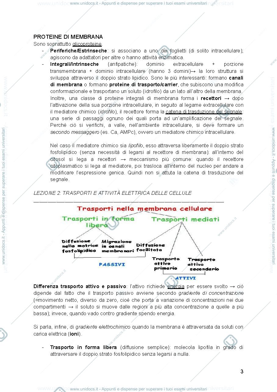 Anteprima pagina 3 — NEUROFISIOLOGIA