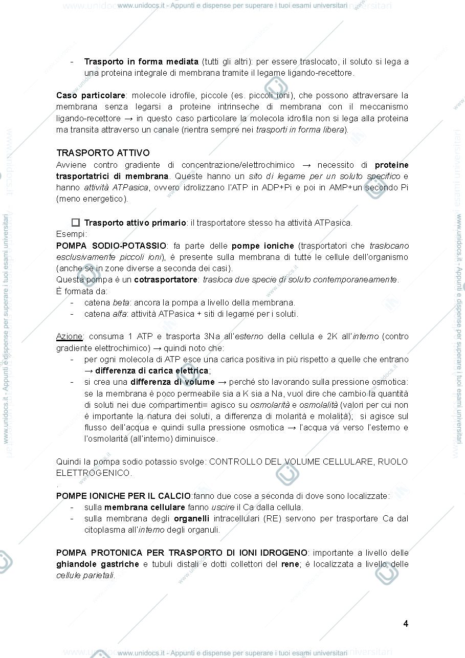 Anteprima pagina 4 — NEUROFISIOLOGIA