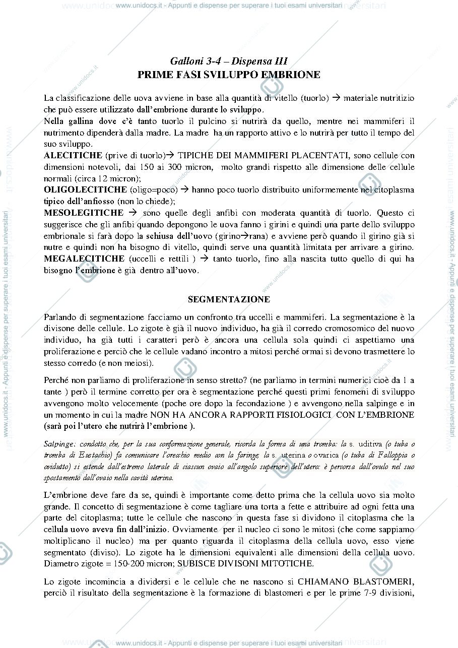 Anteprima pagina 1 — Prime Fasi Sviluppo Embrione