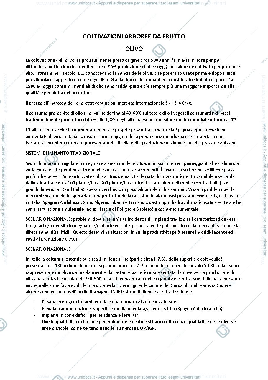 Anteprima pagina 1 — olivo