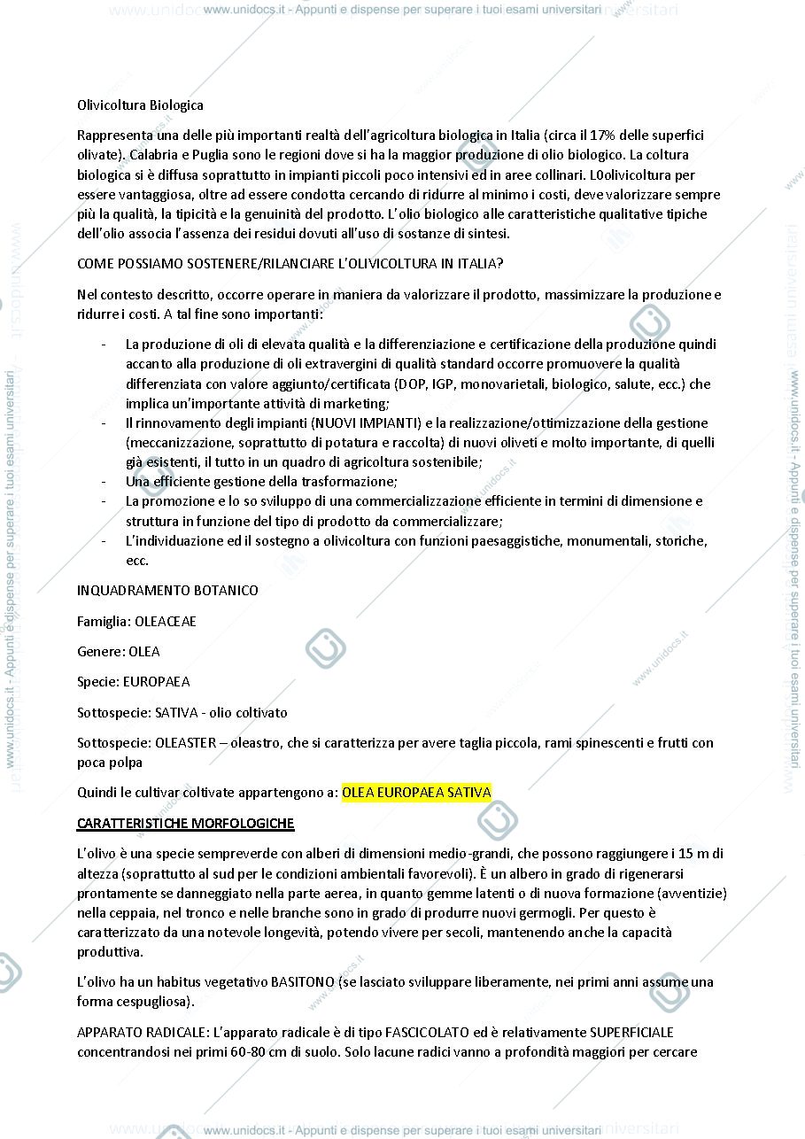 Anteprima pagina 2 — olivo