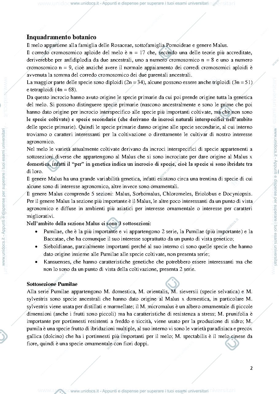 Anteprima pagina 2 — PARTE SPECIALE COLTIVAZIONI ARBOREE