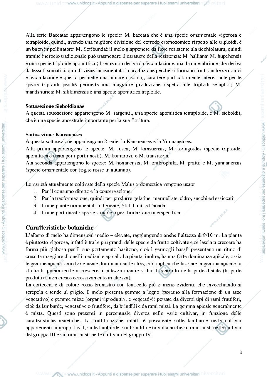 Anteprima pagina 3 — PARTE SPECIALE COLTIVAZIONI ARBOREE