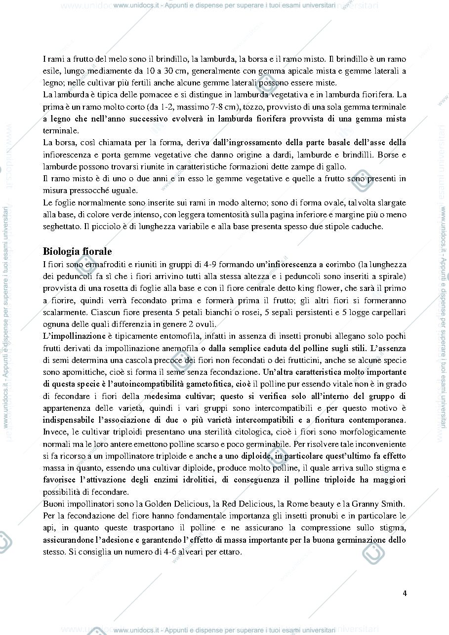Anteprima pagina 4 — PARTE SPECIALE COLTIVAZIONI ARBOREE