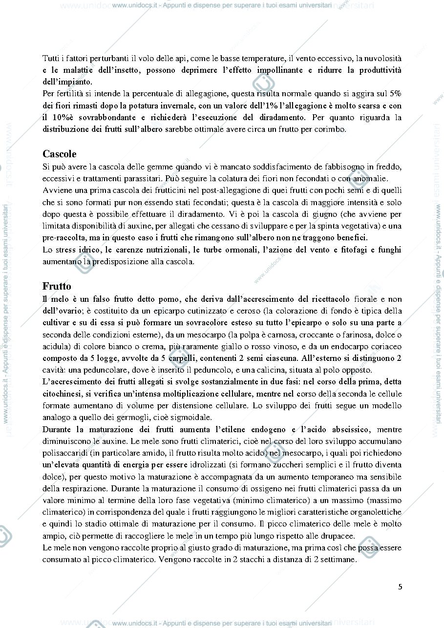 Anteprima pagina 5 — PARTE SPECIALE COLTIVAZIONI ARBOREE