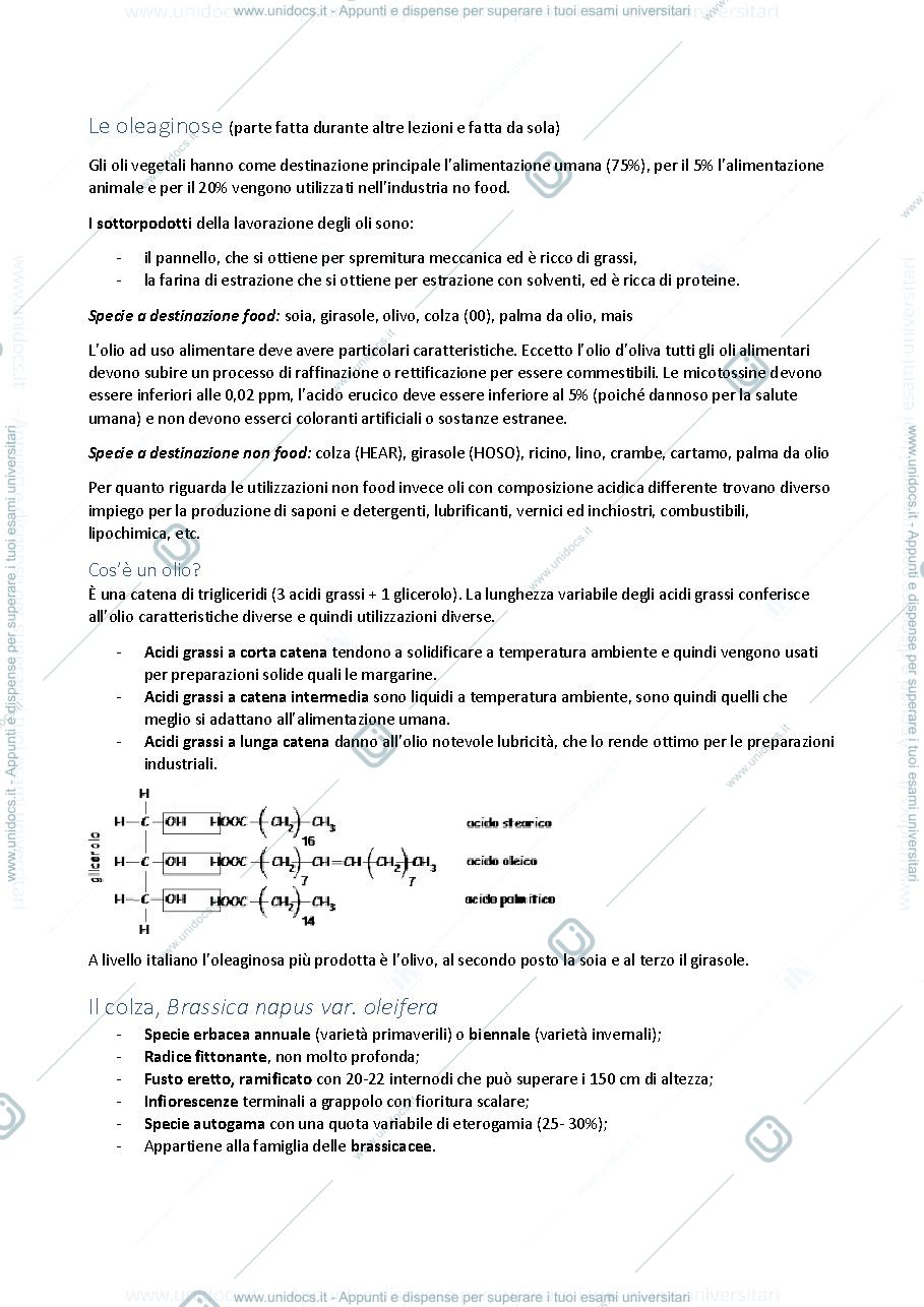 Anteprima pagina 1 — Colture Erbacee