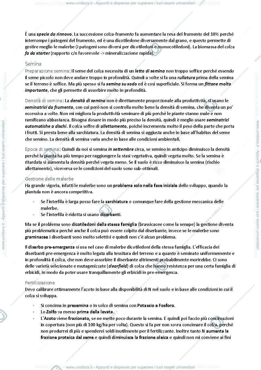 Anteprima pagina 3 — Colture Erbacee