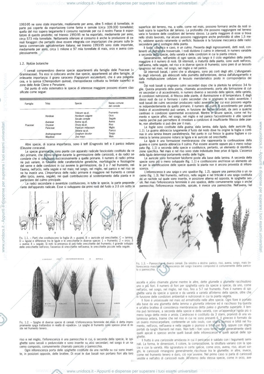 Anteprima pagina 3 — Corso di Colture Erbacee completo