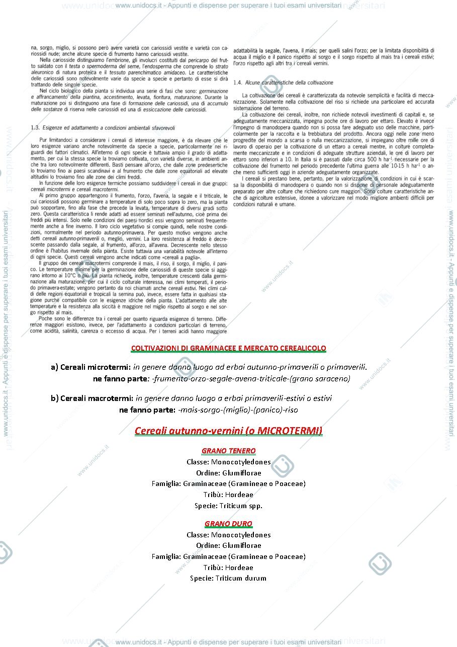 Anteprima pagina 4 — Corso di Colture Erbacee completo