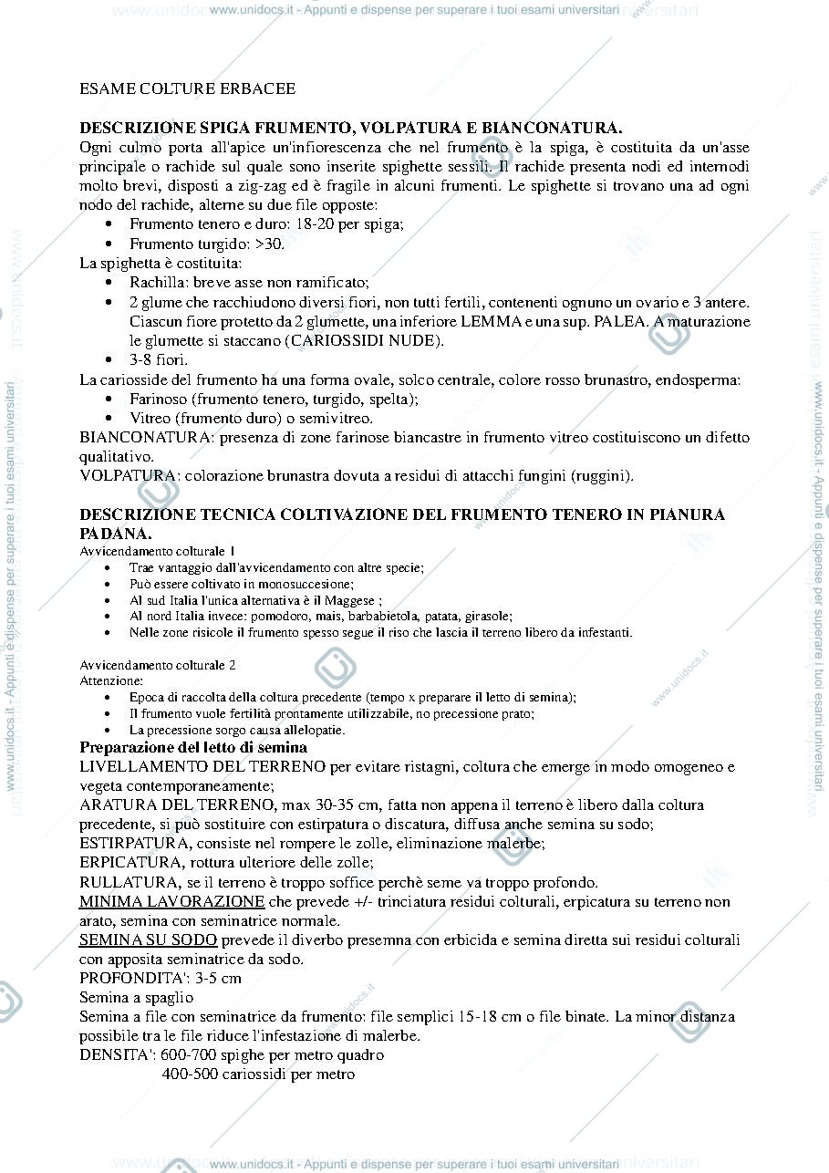 Anteprima pagina 1 — esame coltivazione erbacee
