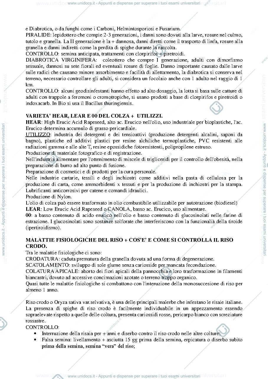 Anteprima pagina 3 — esame coltivazione erbacee