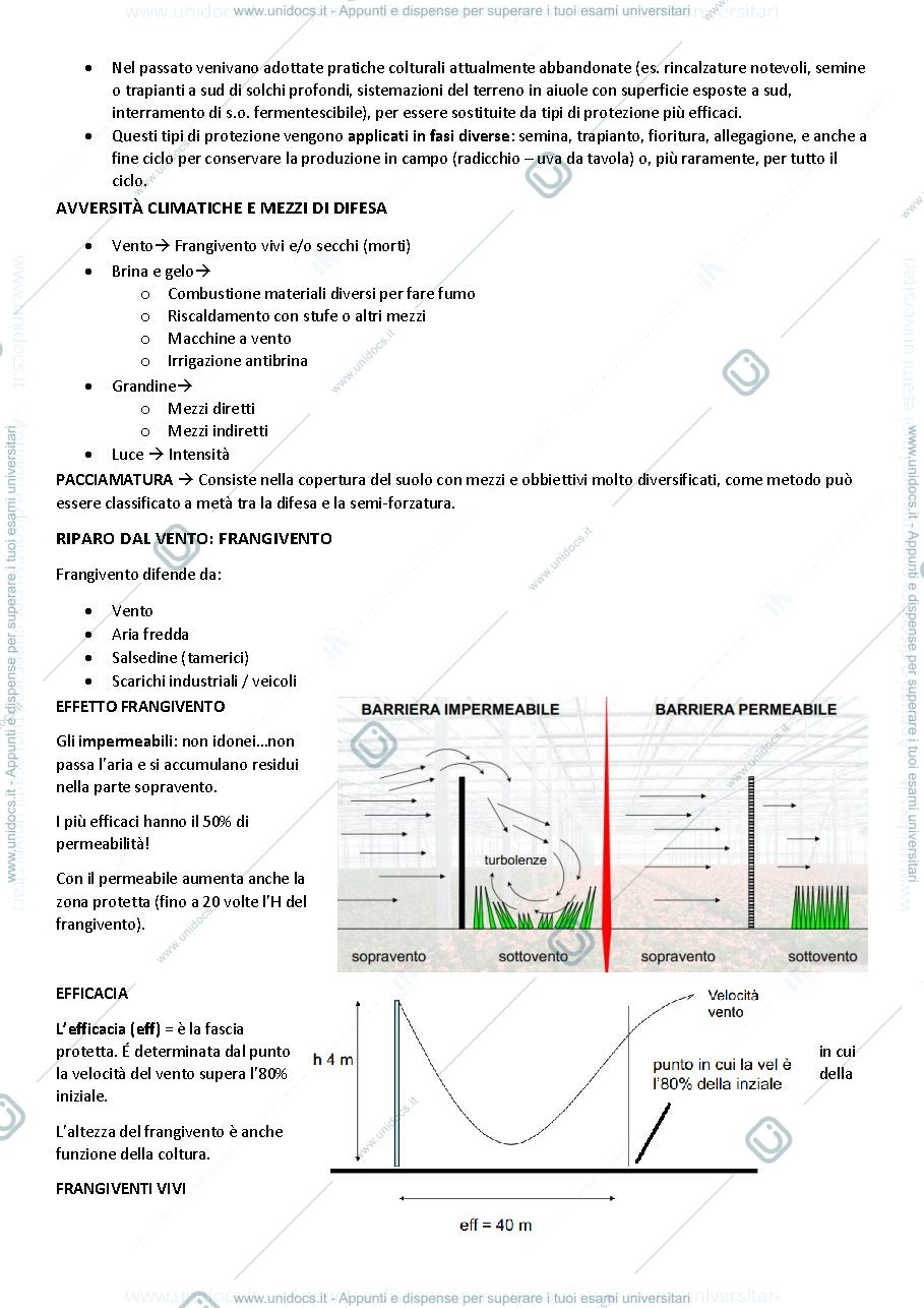 Anteprima pagina 2 — Lezioni zoom 