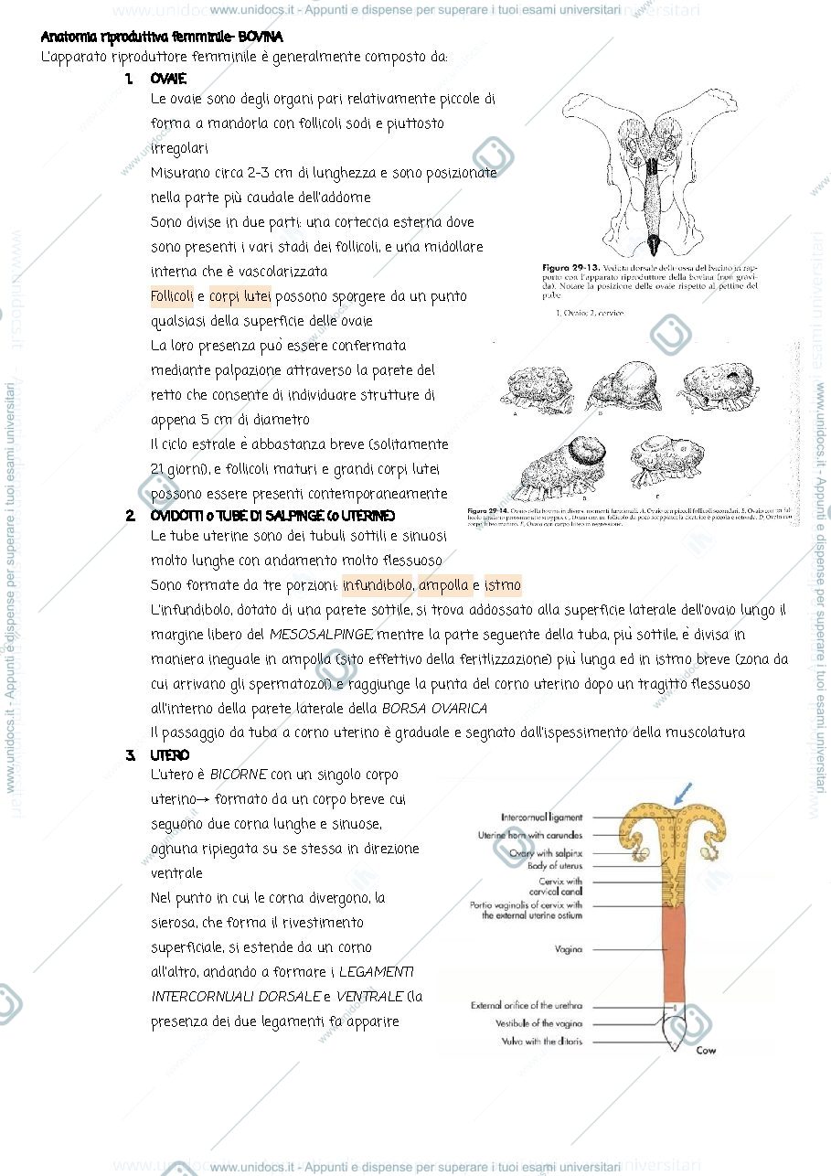 Anteprima pagina 1 — Riproduzione dei piccoli animali 