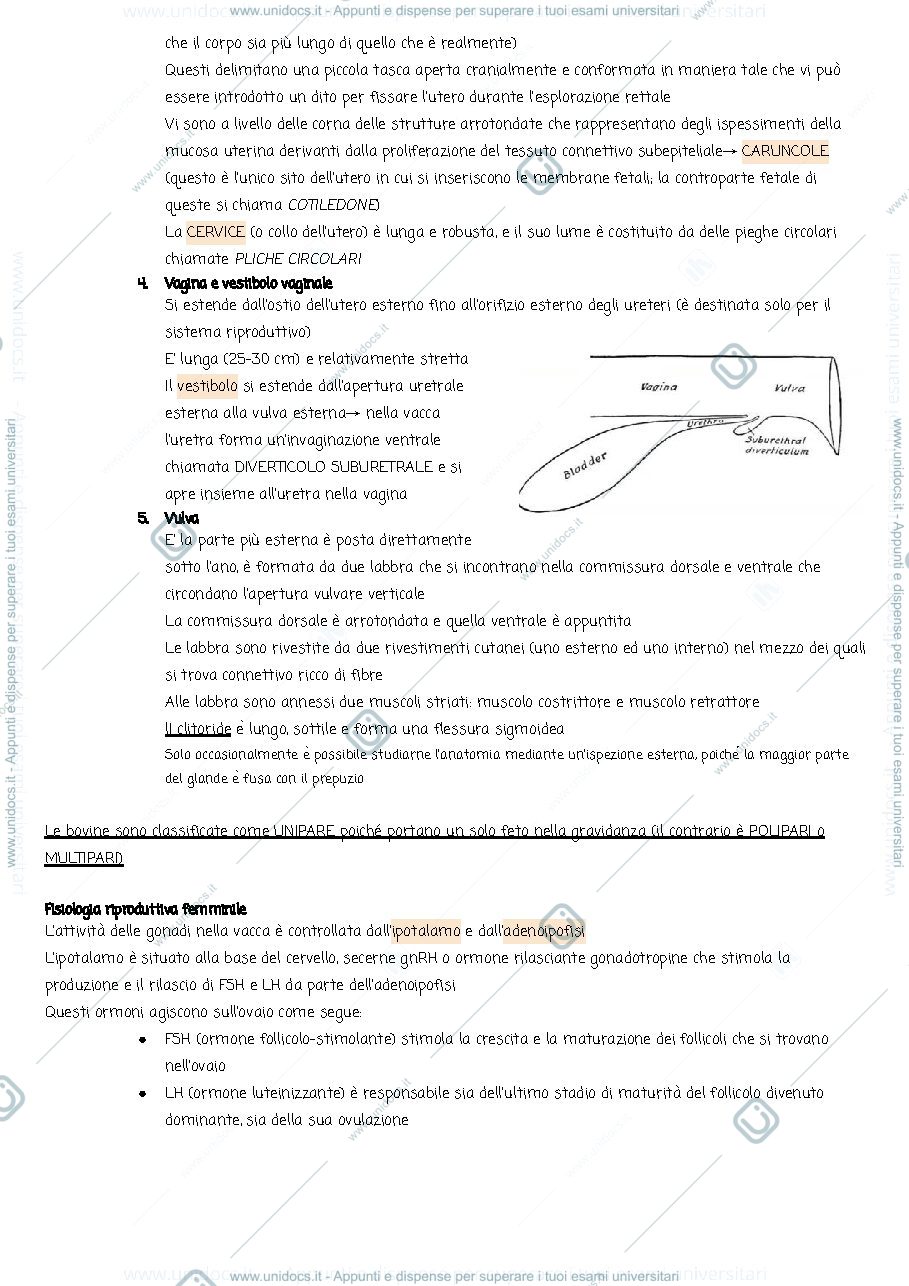 Anteprima pagina 2 — Riproduzione dei piccoli animali 