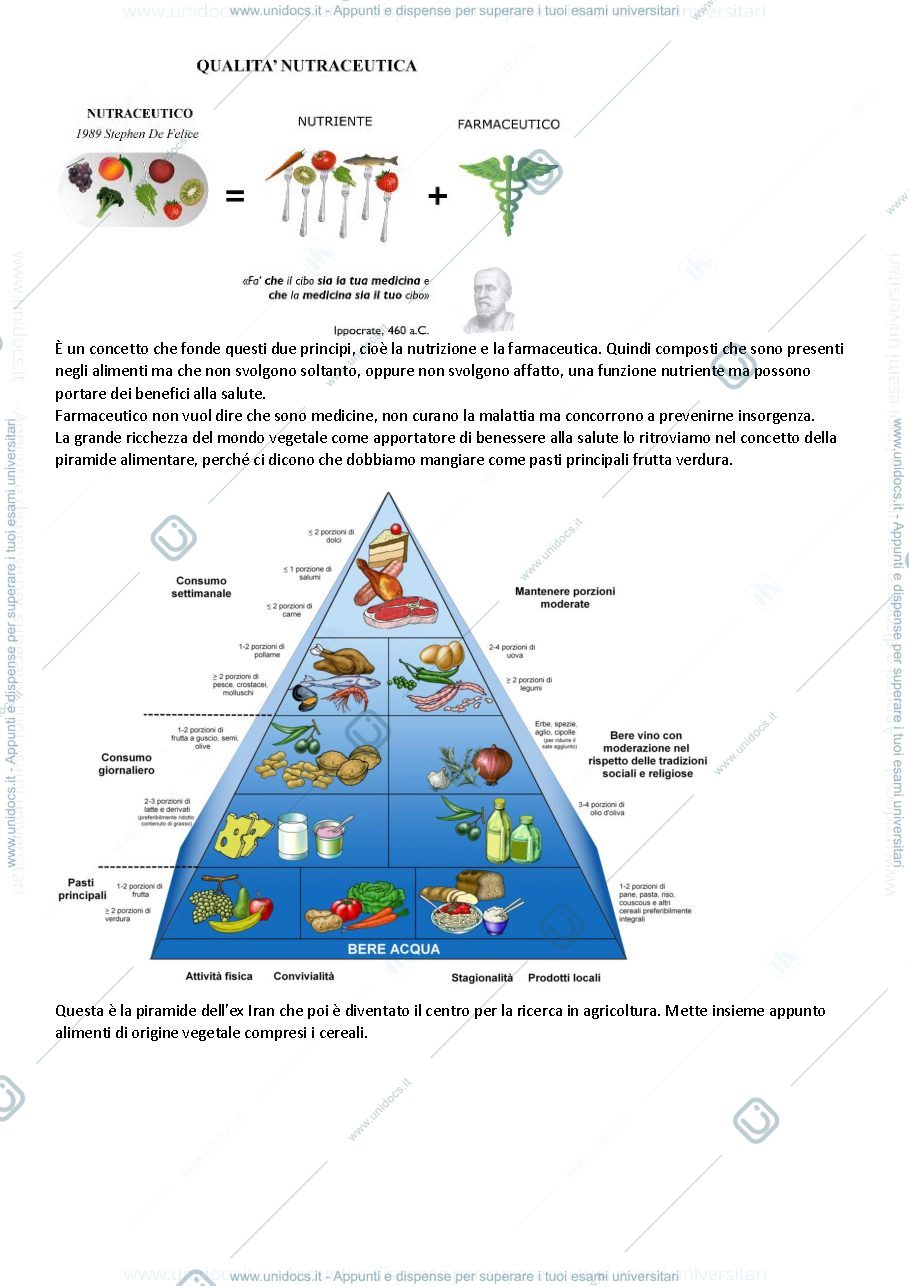 Anteprima pagina 3 — Composti bioattivi e nutraceutica