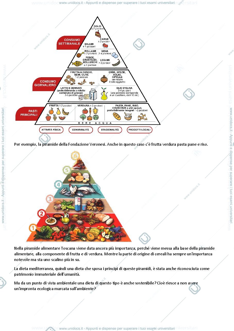 Anteprima pagina 4 — Composti bioattivi e nutraceutica