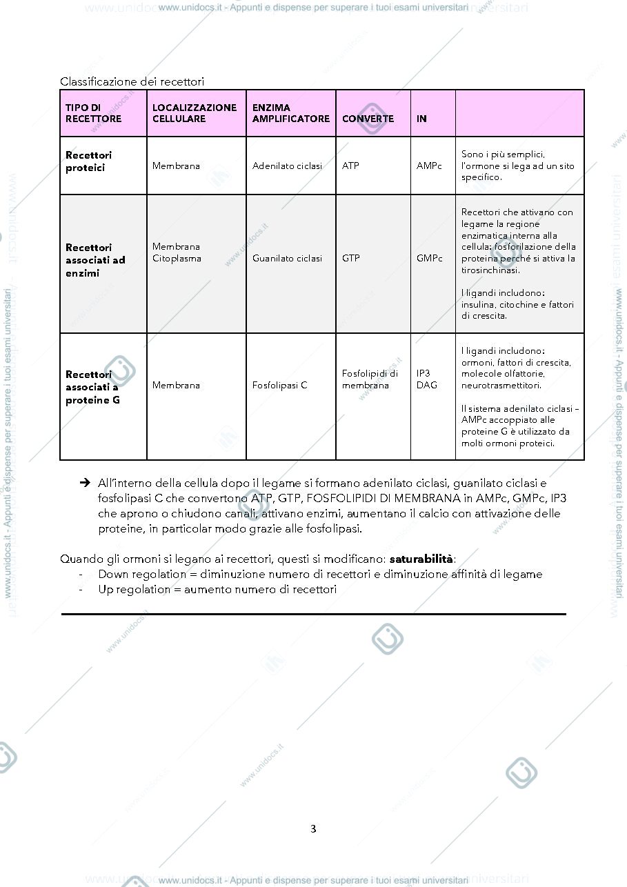 Anteprima pagina 3 — Endocrinologia