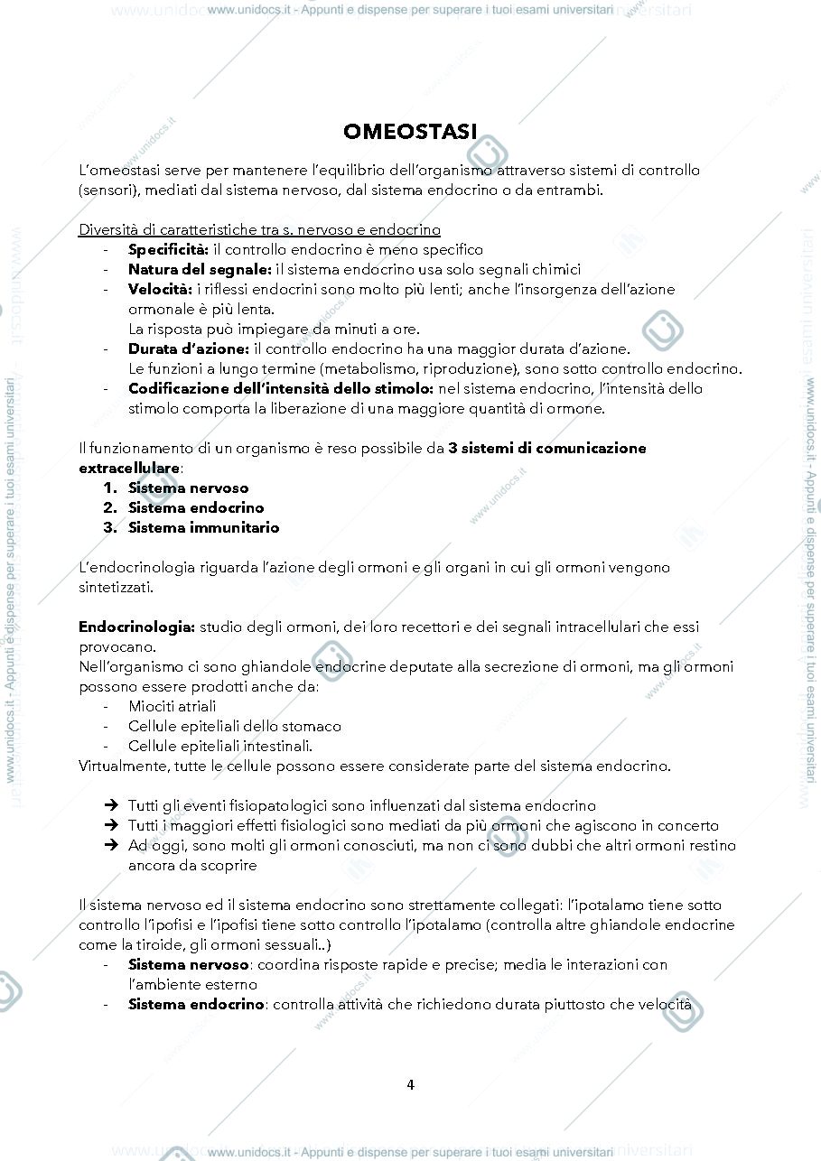 Anteprima pagina 4 — Endocrinologia