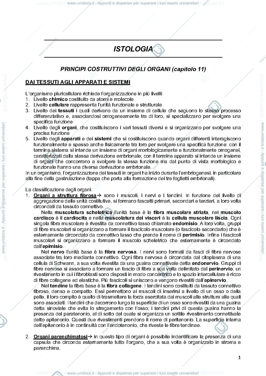 Anteprima pagina 1 — istologia