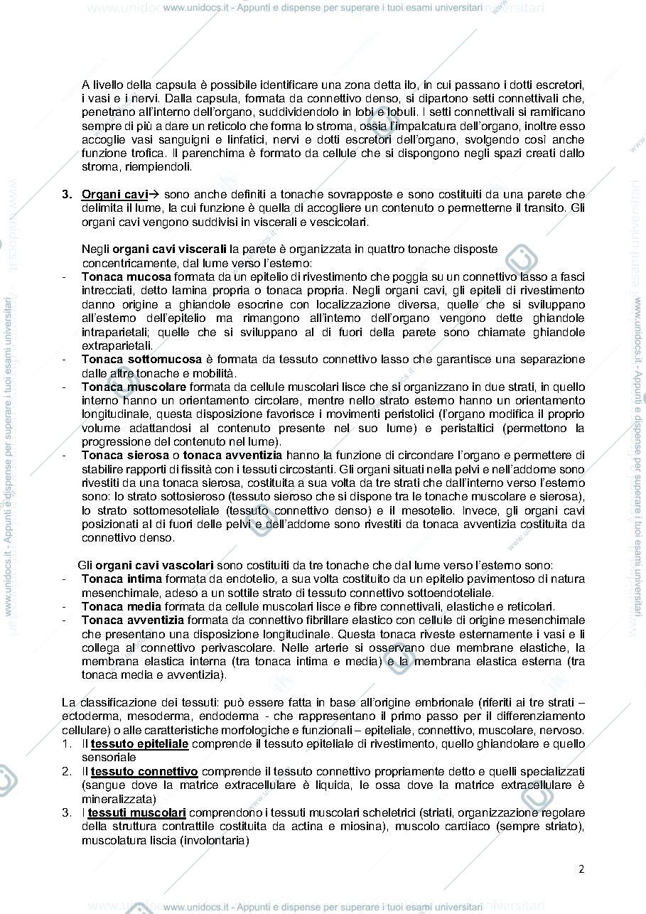 Anteprima pagina 2 — istologia