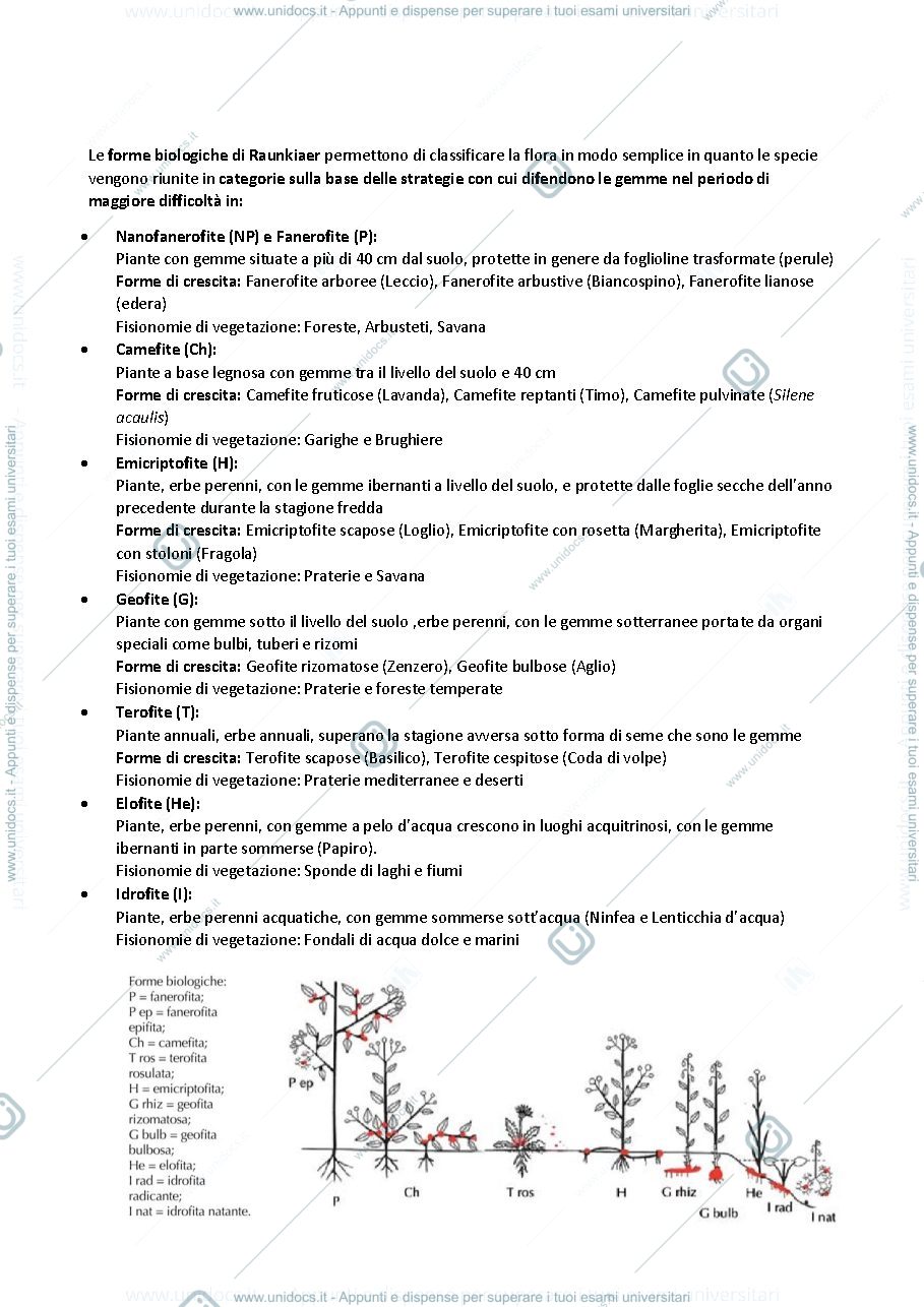 Anteprima pagina 4 — conservazione della flora e del paesaggio