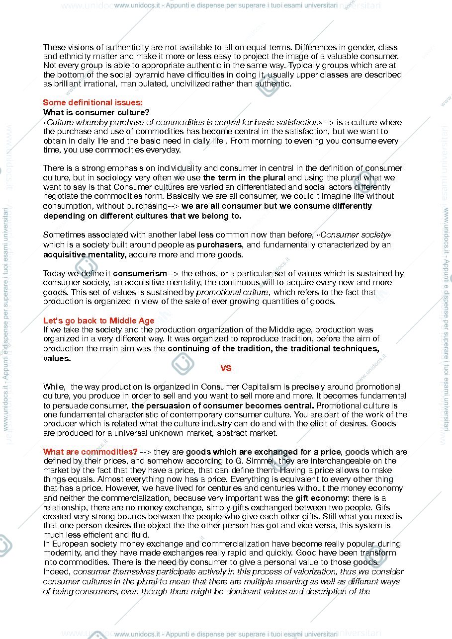 Anteprima pagina 4 — Appunti di Consumer culture scritti a PC in inglese. 
