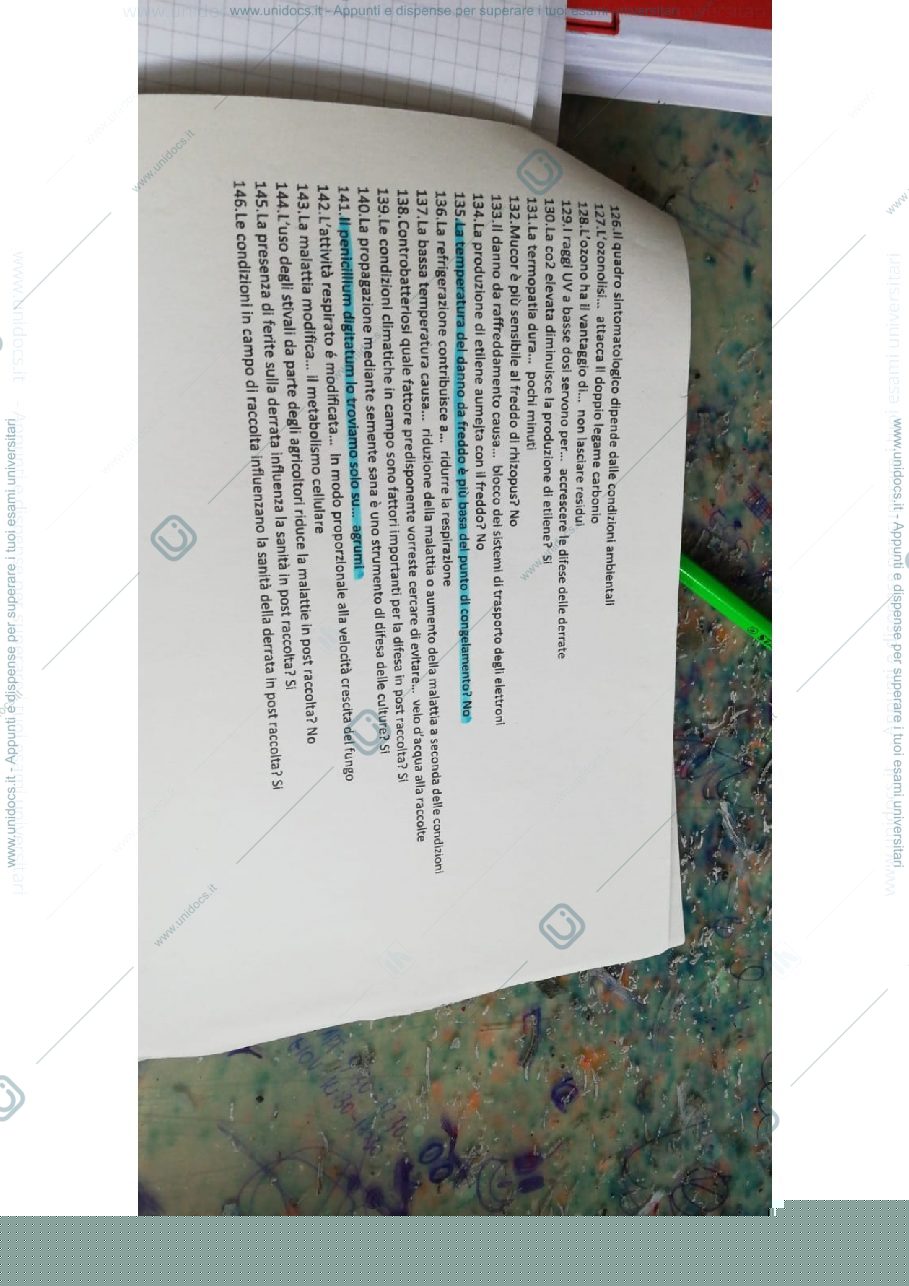 Anteprima pagina 1 — Parte a crocette pasquali 