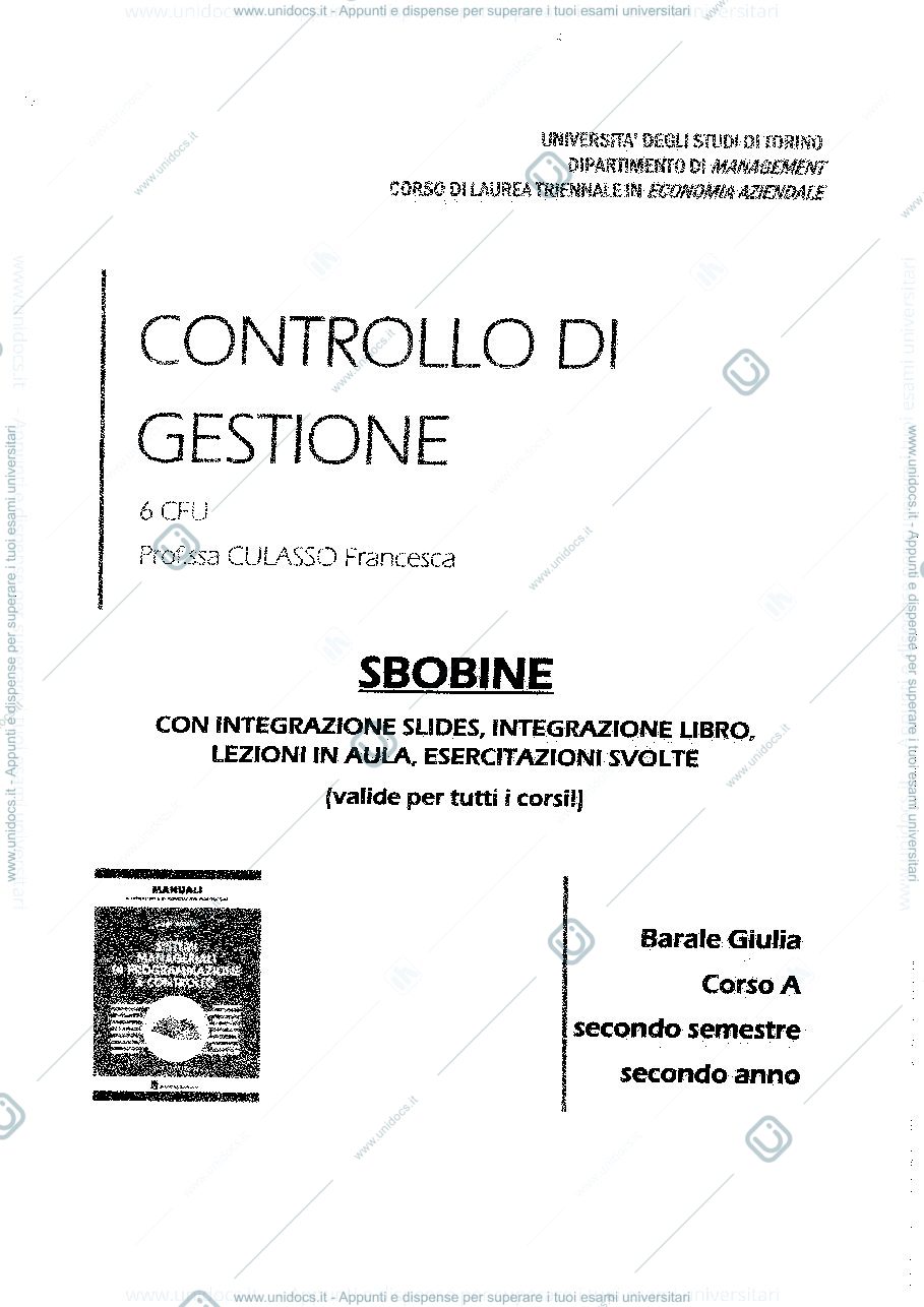 Anteprima pagina 1 — controllo di gestione
