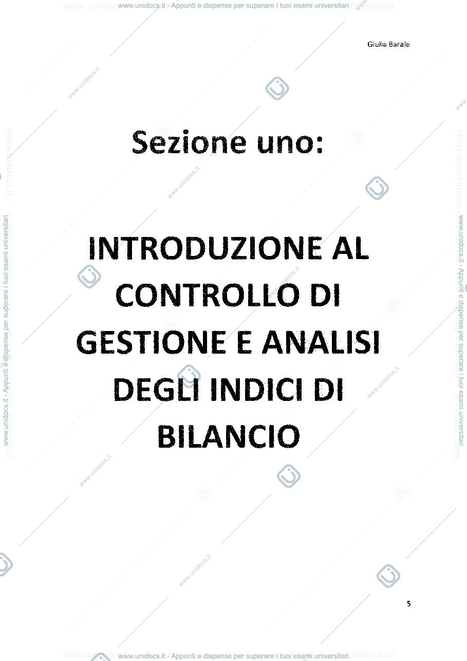 Anteprima pagina 5 — controllo di gestione