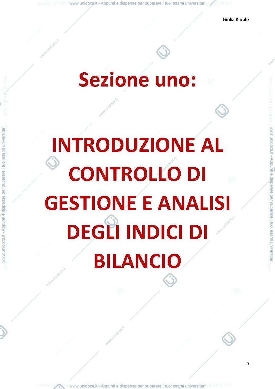Anteprima pagina 5 — riassunto controllo di gestione