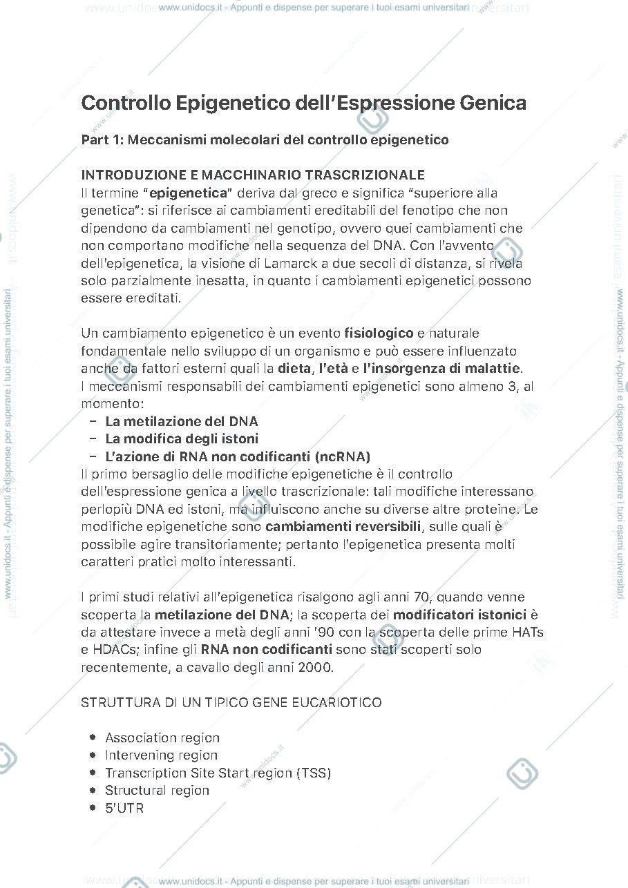 Anteprima pagina 1 — Controllo Epigenetico dell'Espressione Genica 