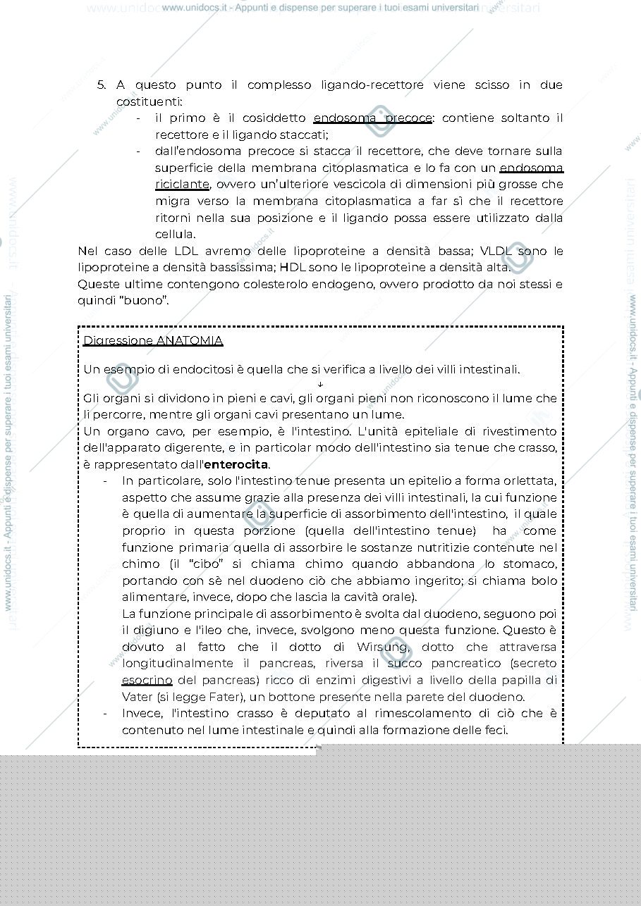 Anteprima pagina 2 — Sbobine dott. Scillitani