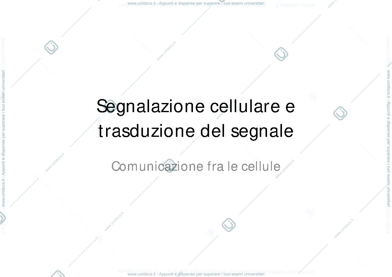 Anteprima pagina 1 — Meccanismo di trasduzione del segnale