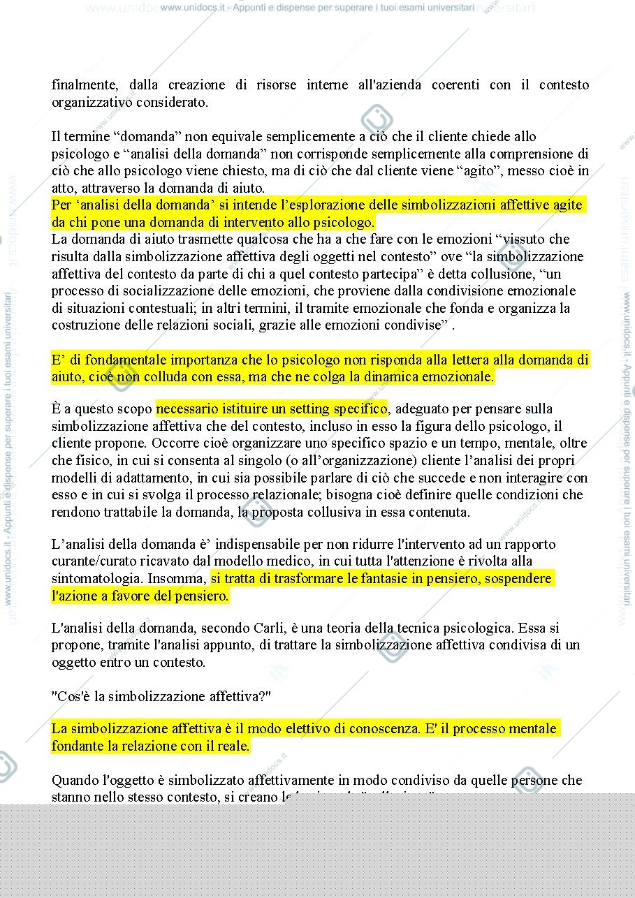Anteprima pagina 2 — Riassunto "Analisi della Domanda" (Carli e Paniccia)