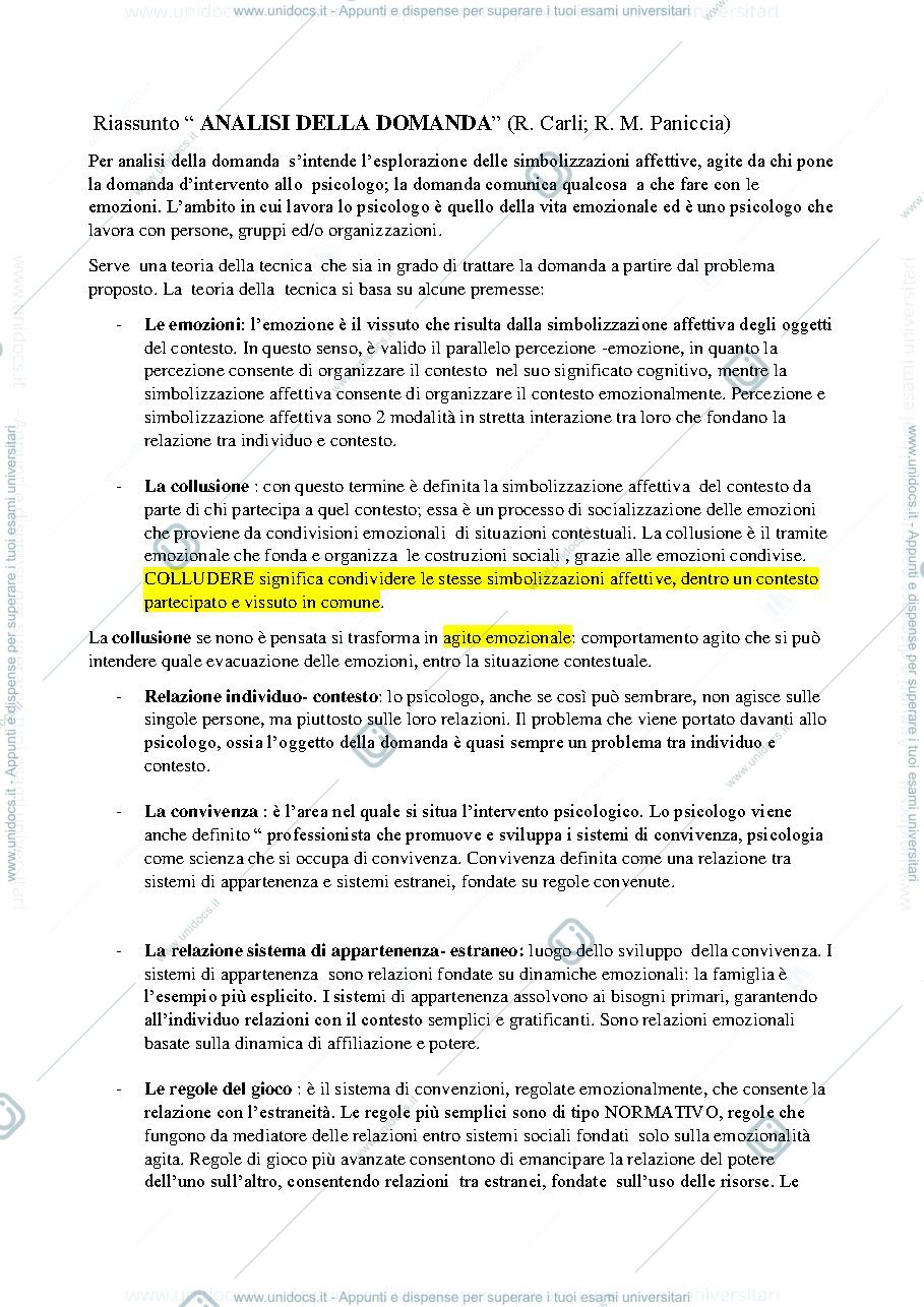 Anteprima pagina 1 — riassunto analisi della domanda