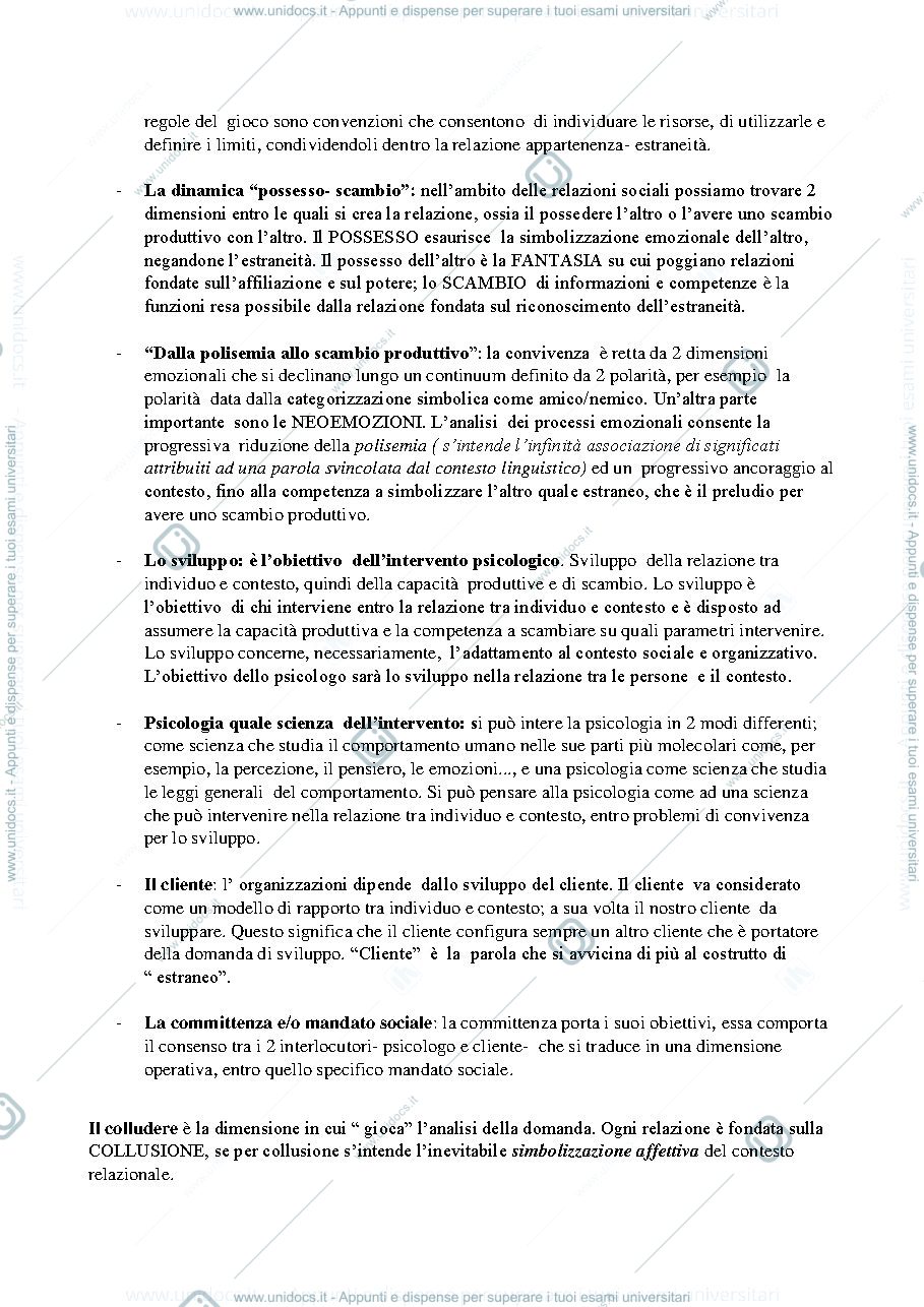 Anteprima pagina 2 — riassunto analisi della domanda