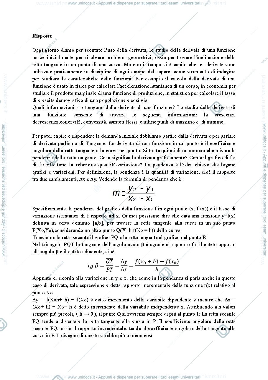 Anteprima pagina 1 — Elaborato