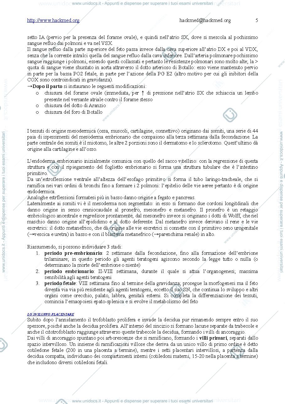 Anteprima pagina 5 — edd