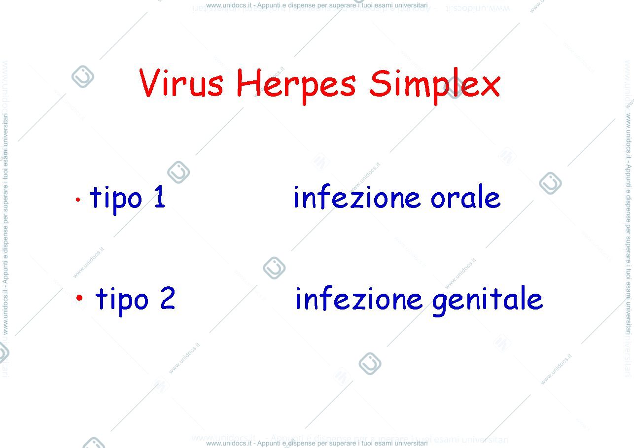 Anteprima pagina 3 — dermatosi virali