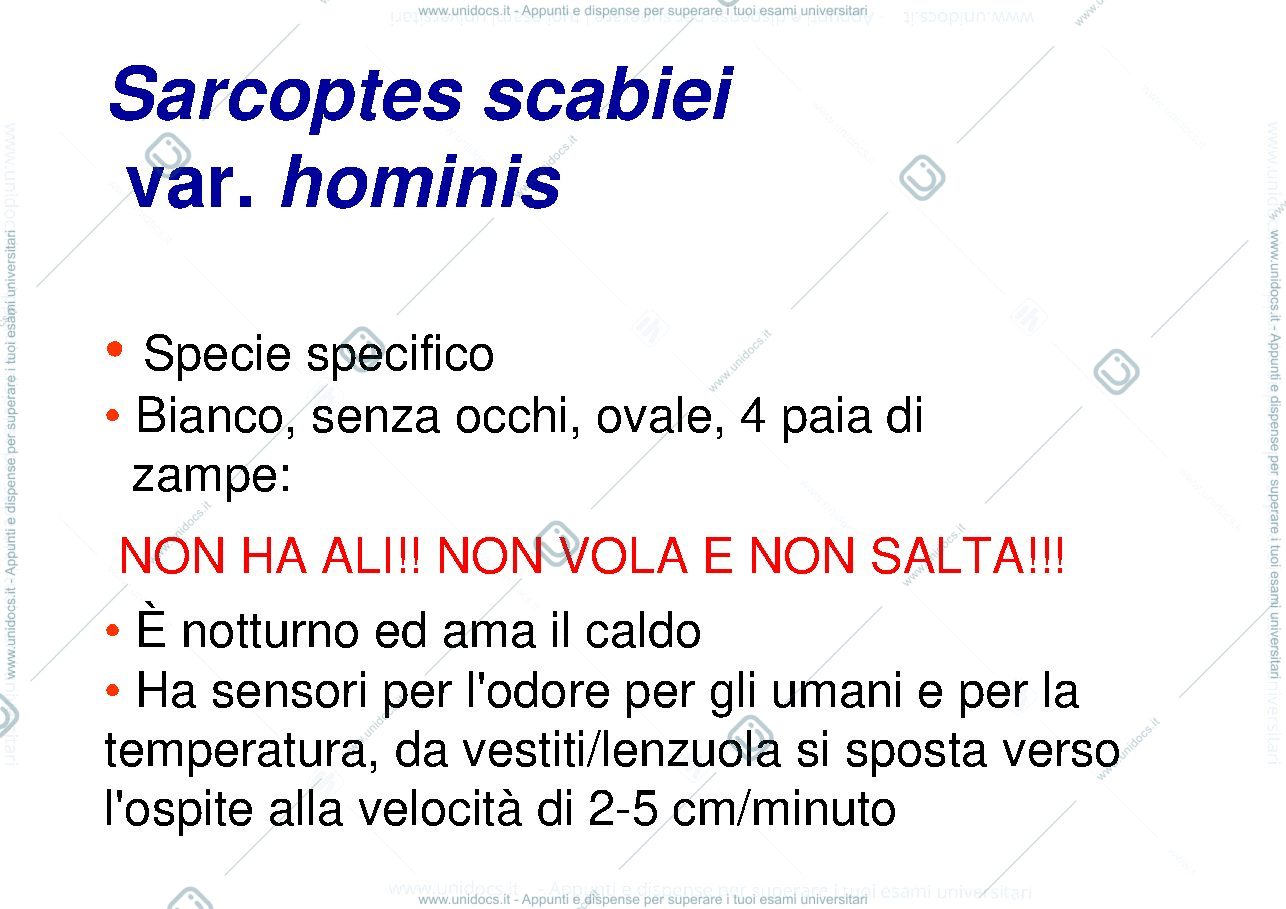 Anteprima pagina 2 — Scabbia
