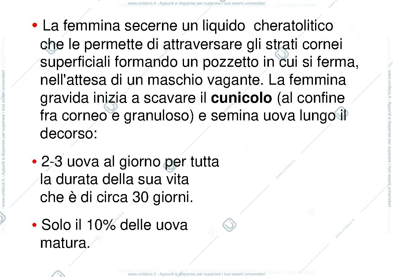 Anteprima pagina 3 — Scabbia