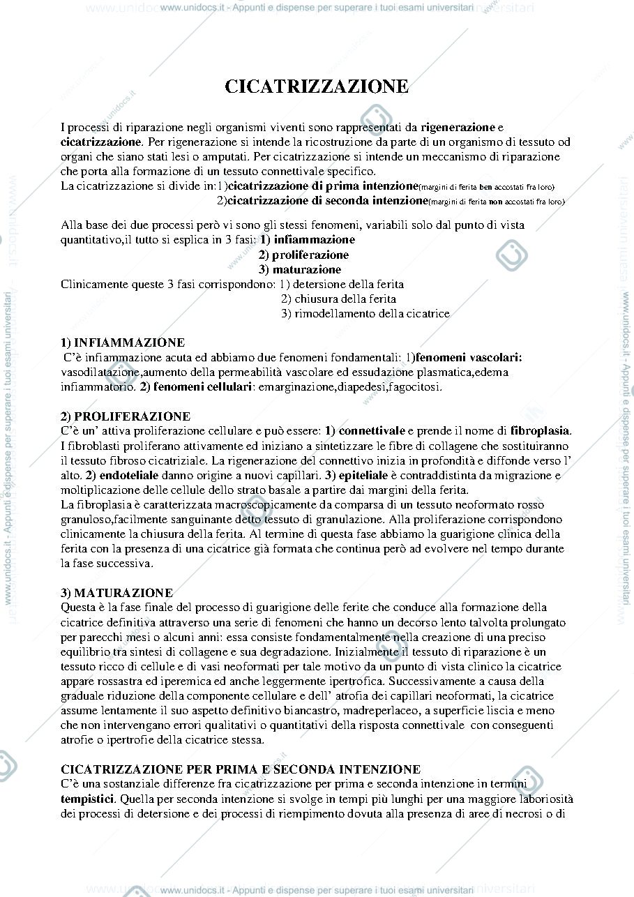 Anteprima pagina 2 — DISPENSA chirurgia plastica