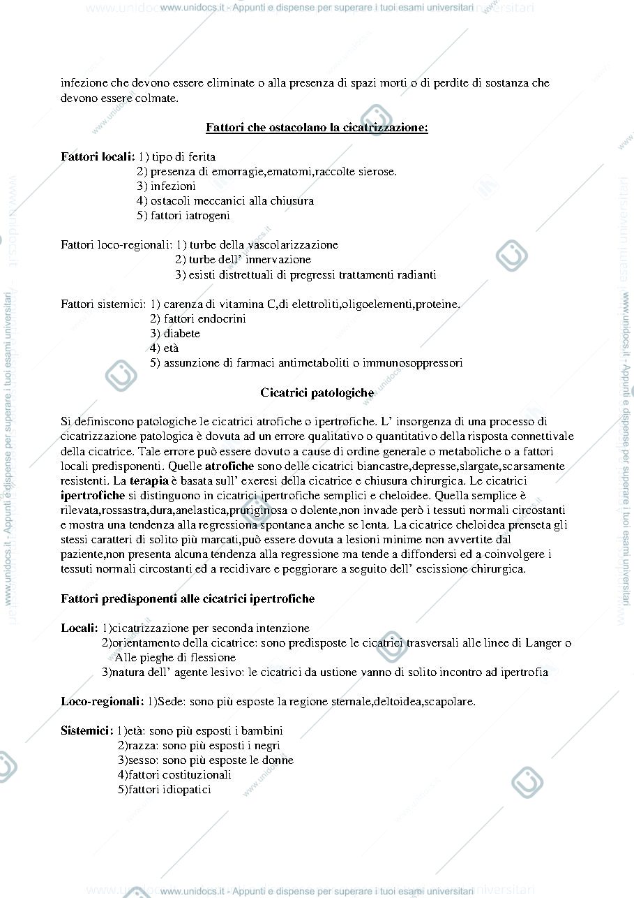 Anteprima pagina 3 — DISPENSA chirurgia plastica