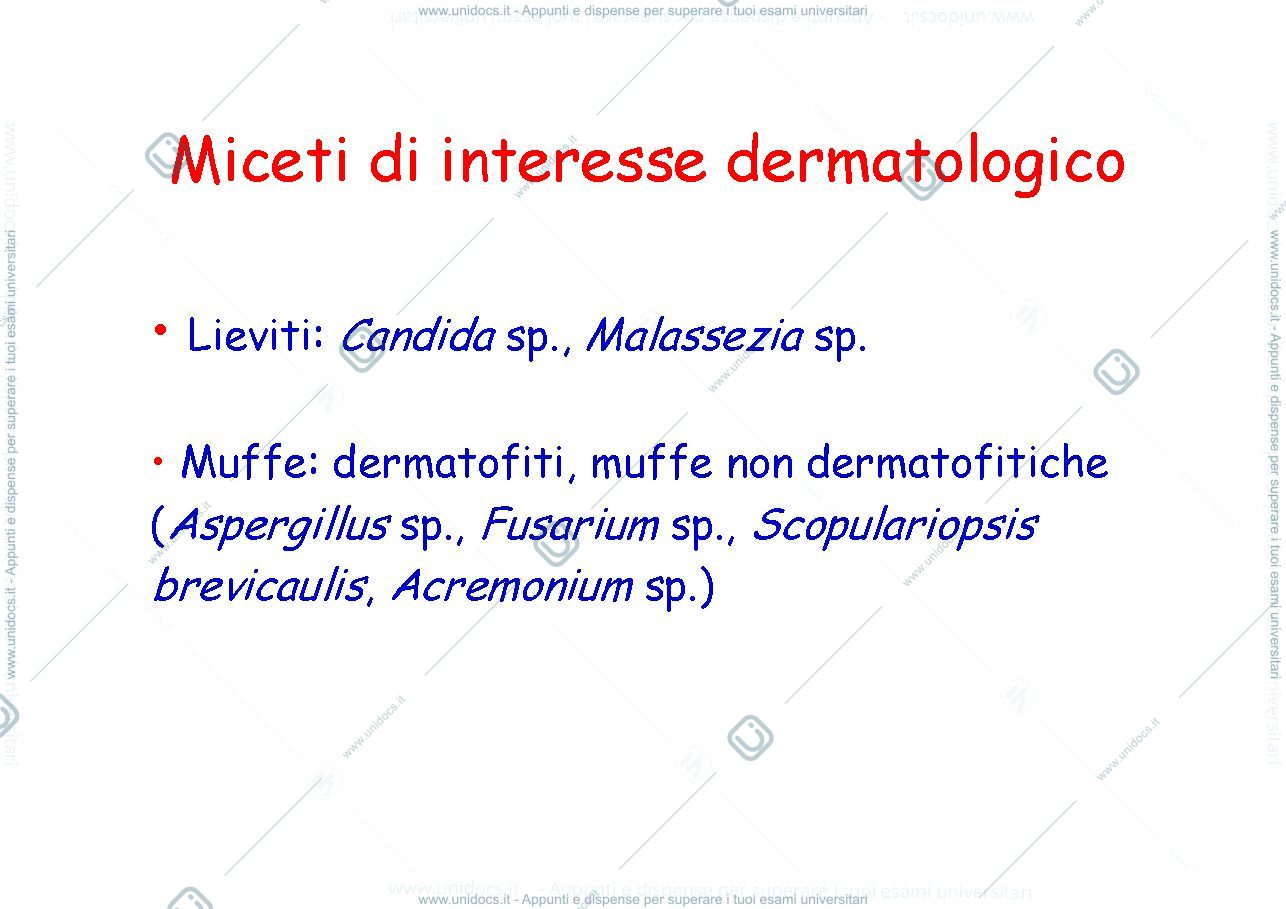 Anteprima pagina 1 — micosi