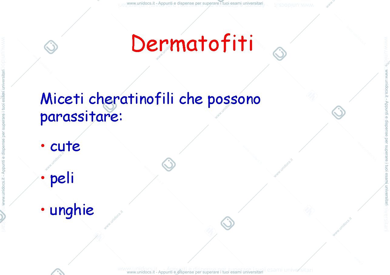 Anteprima pagina 3 — micosi