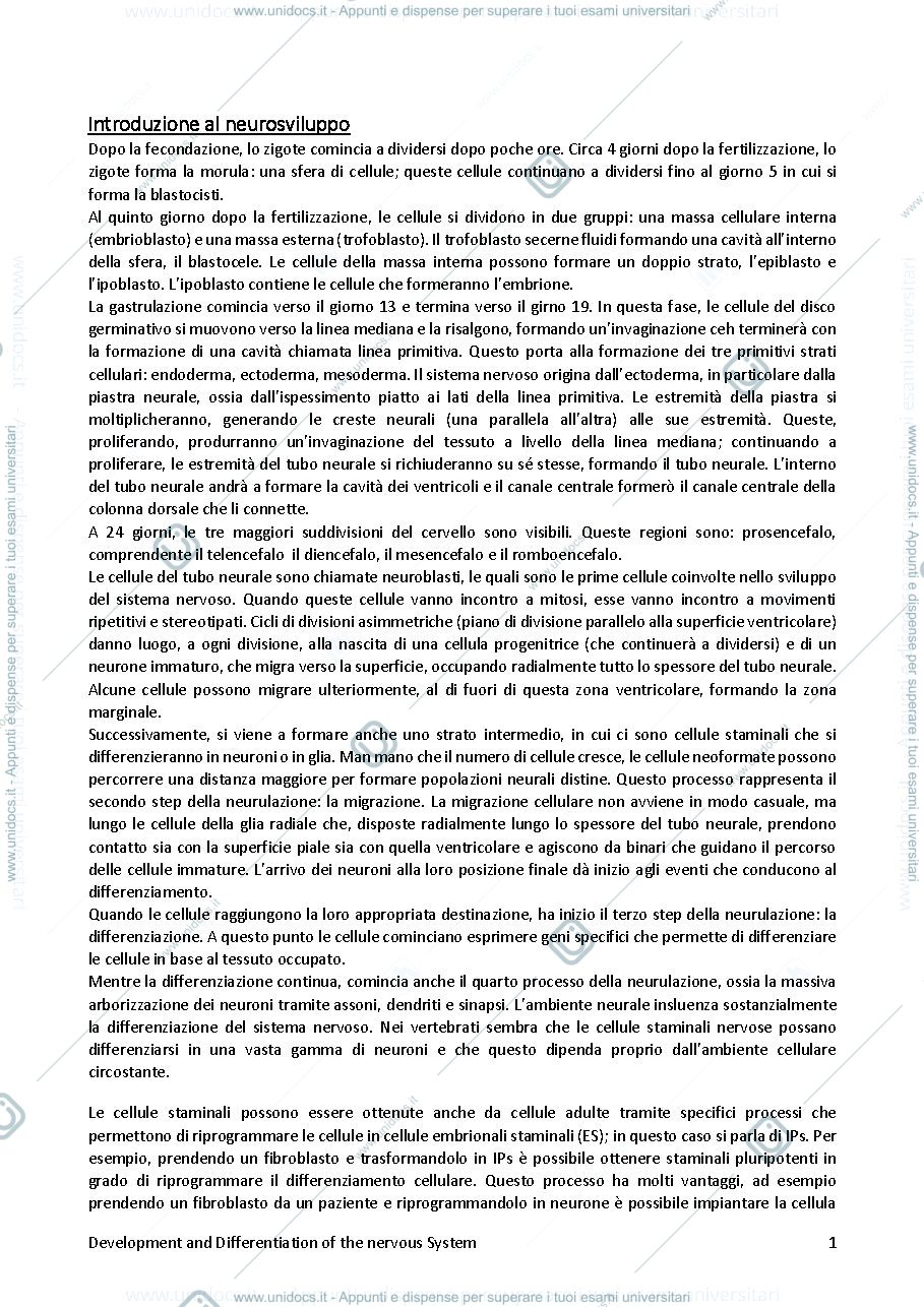 Anteprima pagina 2 — Sbobine Neurosviluppo