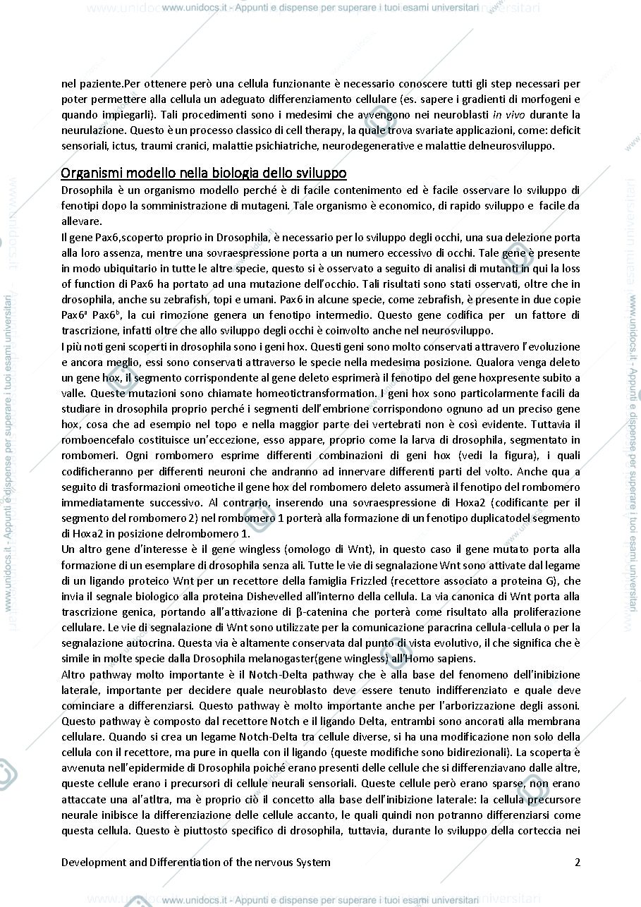 Anteprima pagina 3 — Sbobine Neurosviluppo